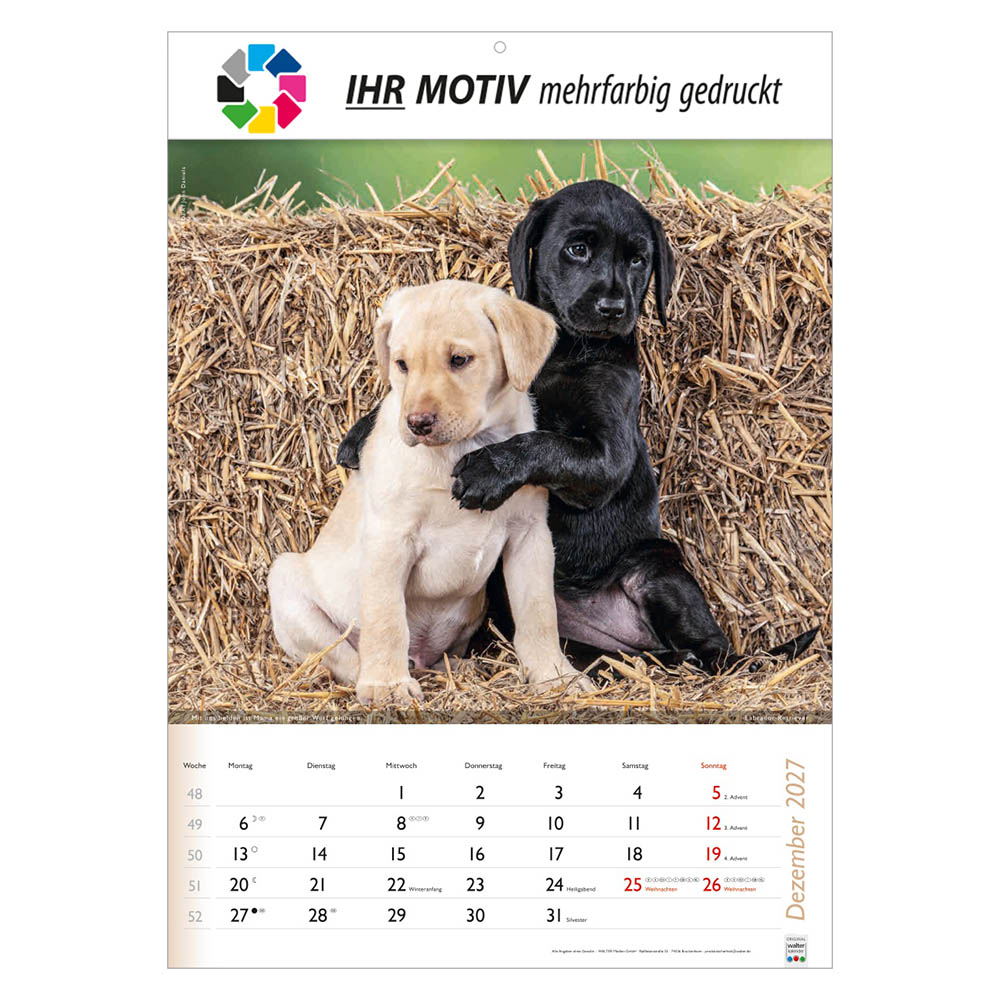Bildkalender Wunderbare Tiere, Ausgabe 2027 Monat Dezember