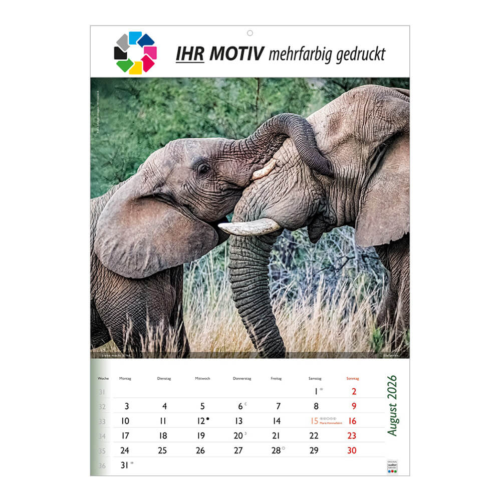 Bildkalender Wunderbare Tiere Monat August