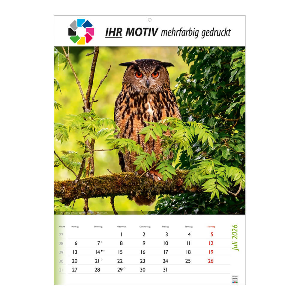 Bildkalender Wunderbare Tiere Monat Juli