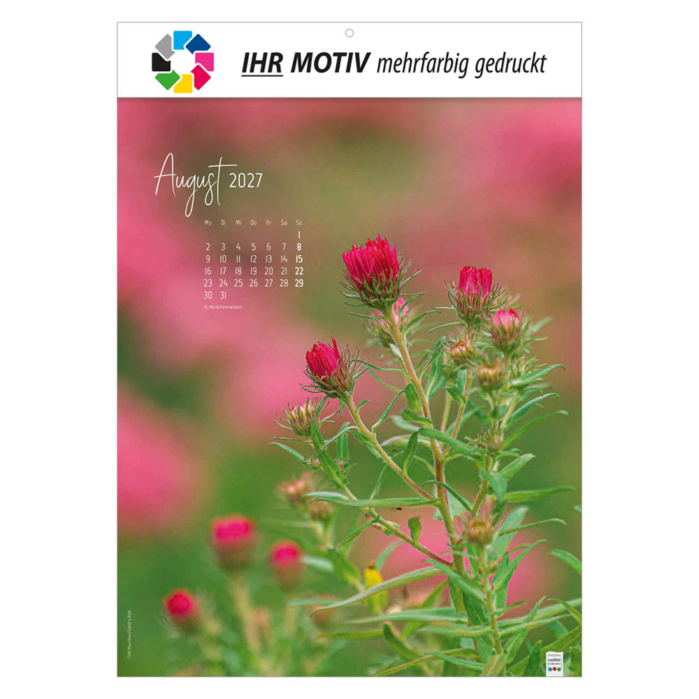 Bildkalender Natur ganz nah, Ausgabe 2027 Monat August