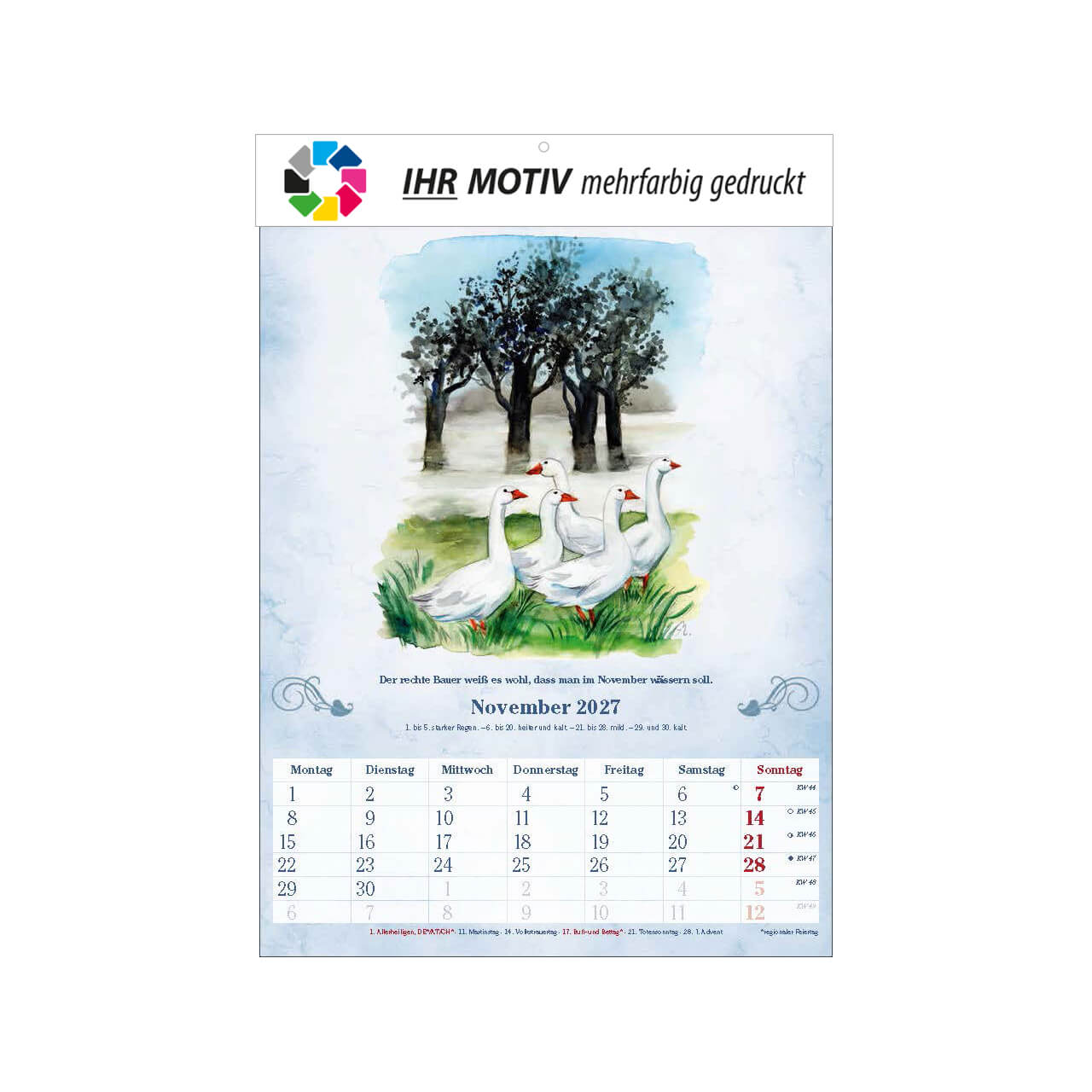 Bildkalender Der 100-Jährige, Ausgabe 2027 Monat November