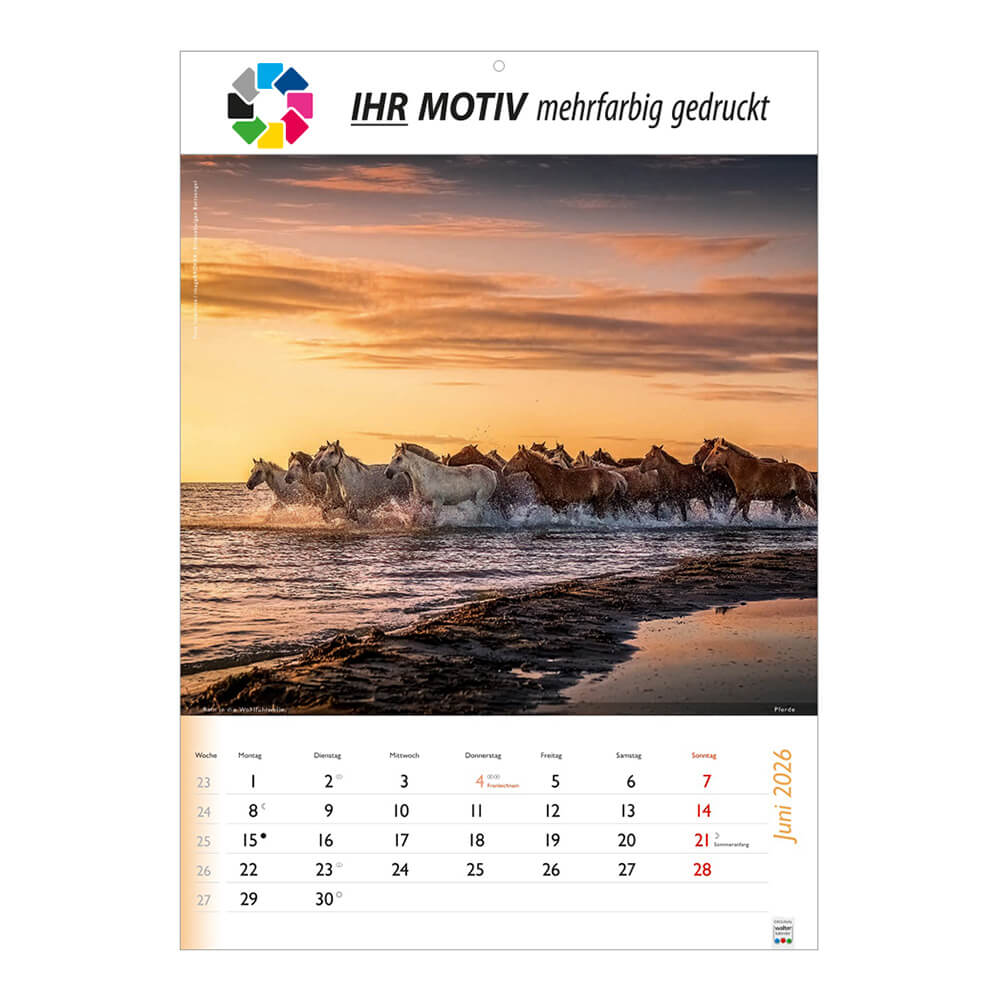 Bildkalender Wunderbare Tiere Monat Juni