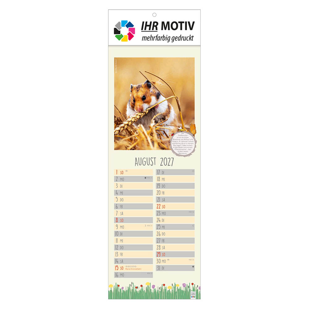 Streifenkalender Naturnah, Ausgabe 2027 Monat August