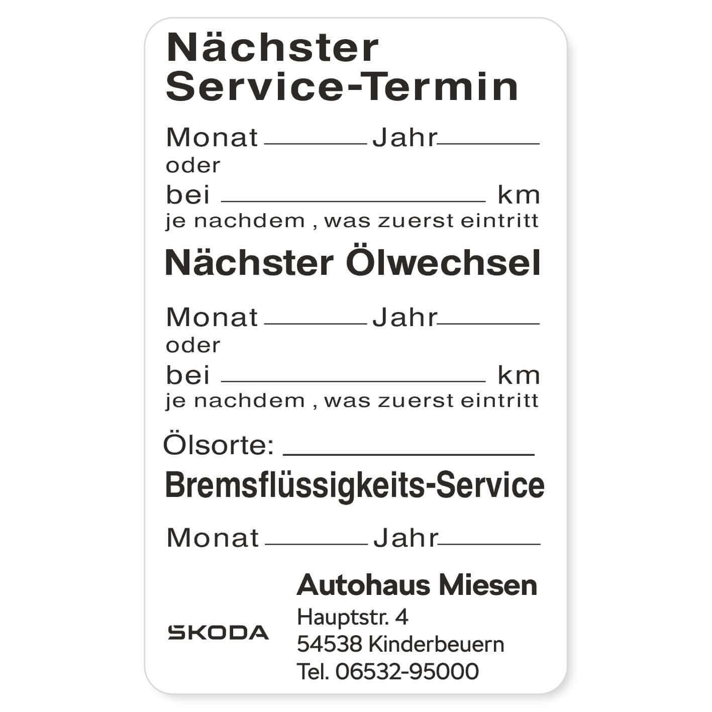 Nächster Service, Nächster Ölwechsel, Bremsflüssigkeit Beispiel 4