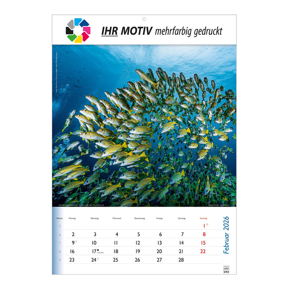 Bildkalender Wunderbare Tiere Monat Februar