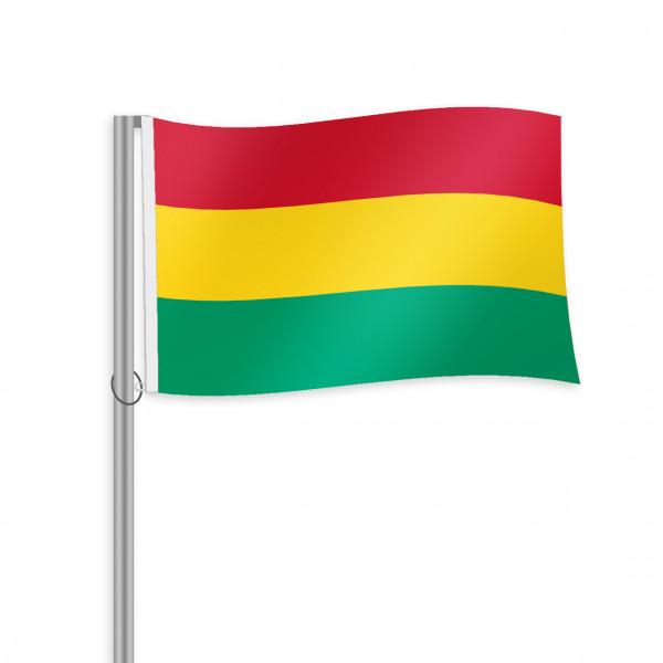 Guinea Fahne im Querformat kaufen