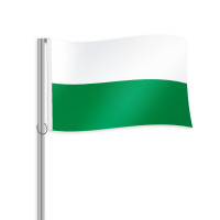 Sachsen Querformatfahne Sachsen Querformatfahne