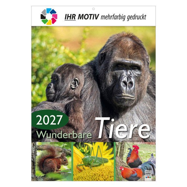 Bildkalender Wunderbare Tiere, Ausgabe 2027 Deckblatt