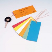 PVC-Hänge-Etikett groß, Format 120 x 50 mm PVC-Hänge-Etikett groß, Format 120 x 50 mm