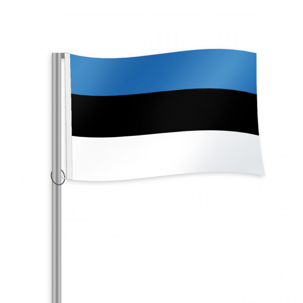 Estland Fahne im Querformat kaufen