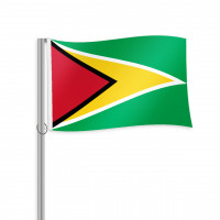 Guyana Fahne im Querformat kaufen Guyana Fahne im Querformat kaufen