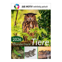 Bildkalender Wunderbare Tiere Deckblatt Bildkalender Wunderbare Tiere Deckblatt