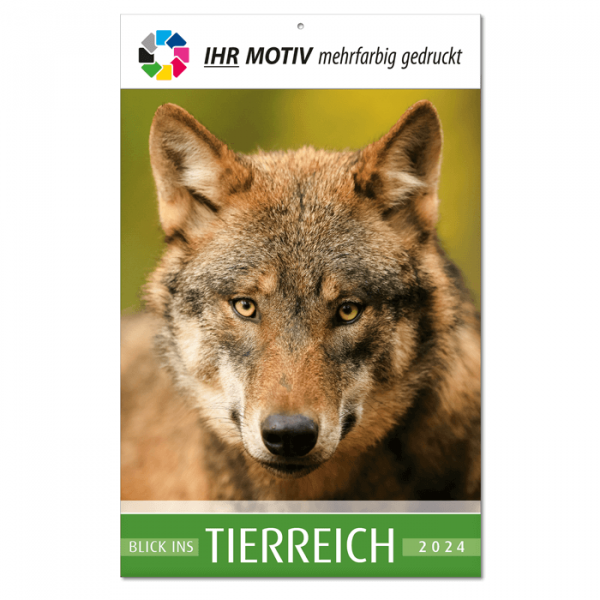 Bildkalender Tierreich 2024 Titelbild